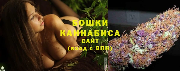 крисы Каменка