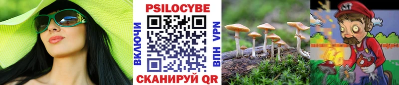 Псилоцибиновые грибы мицелий наркота Цоци-Юрт